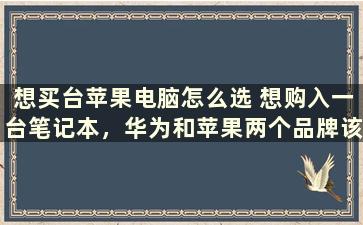 想买台苹果电脑怎么选 想购入一台笔记本，华为和苹果两个品牌该怎么选择